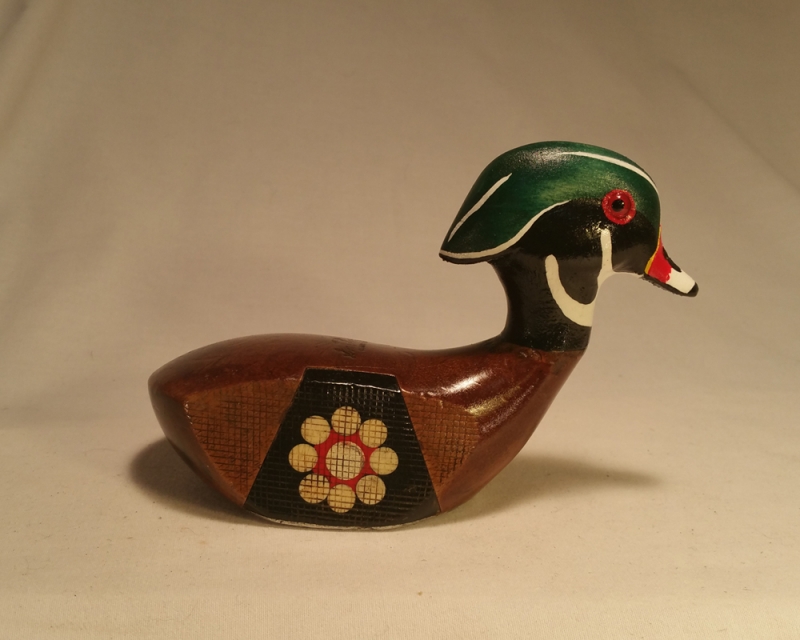 Wood Duck Nation