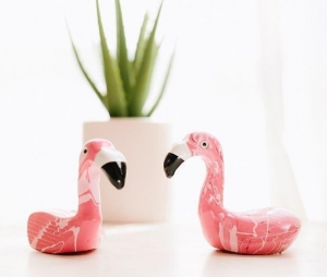 Flamingos