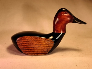 limited-canvasback