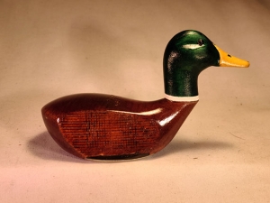 limited-mallard