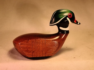 limited-woodduck